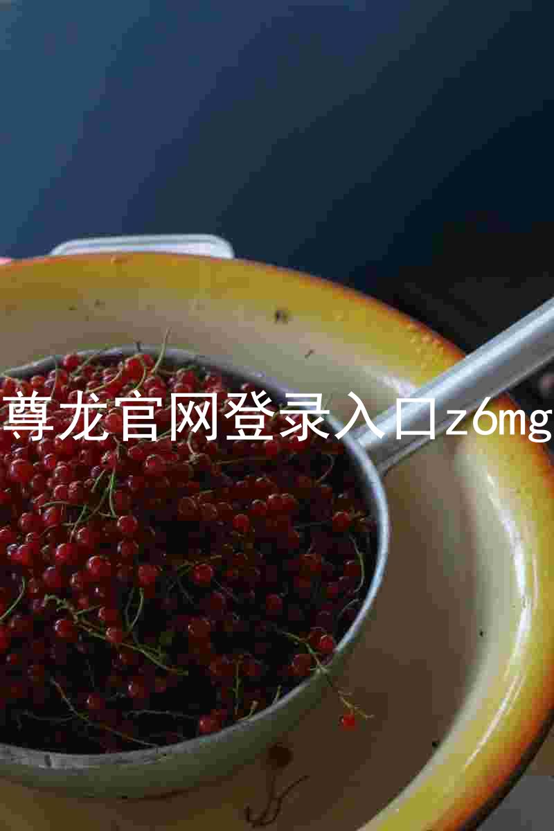 尊龙官网登录入口z6mg