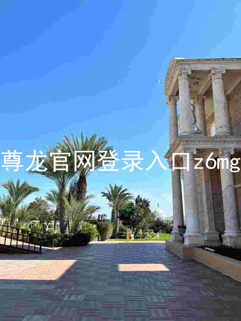 尊龙官网登录入口z6mg