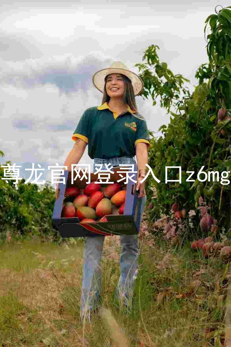 尊龙官网登录入口z6mg