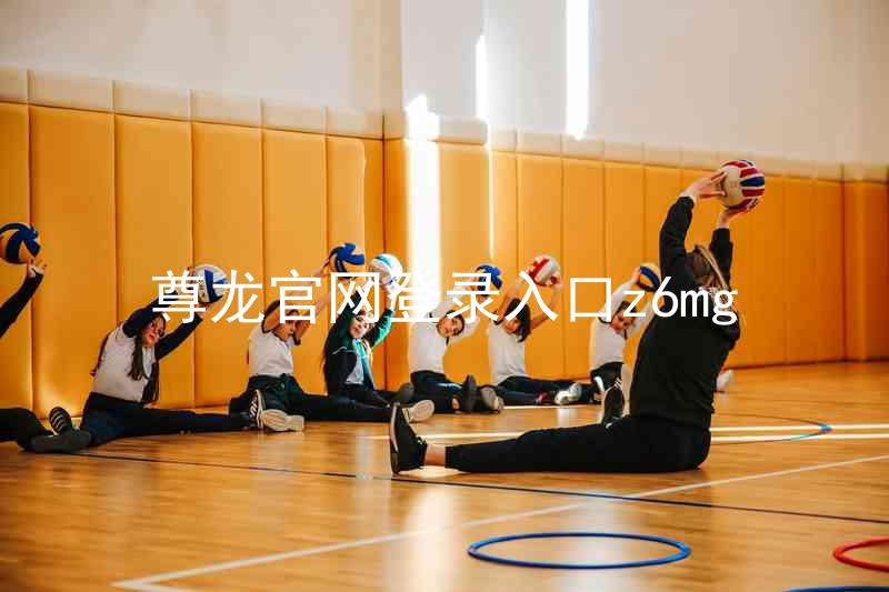尊龙官网登录入口z6mg